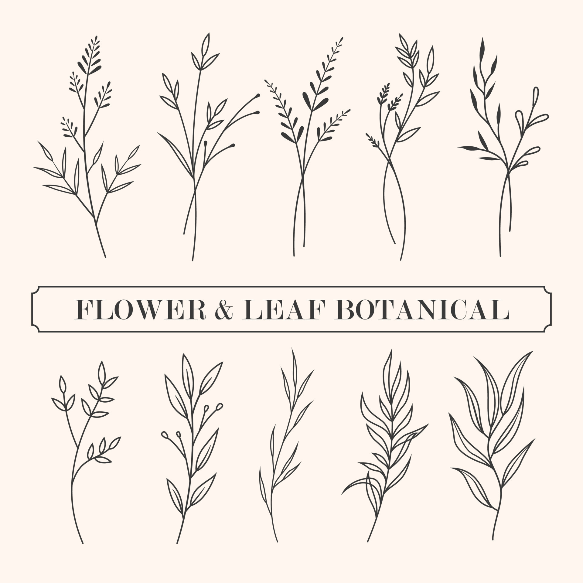 flower and leaf botanical line art and doodle illustration. 24240521 ...