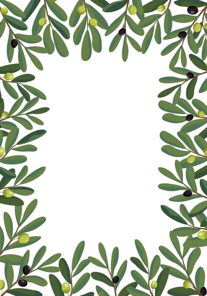 Olive branches border frame. Vector illustration. Isolated on white background. Olive branches illustration composition.