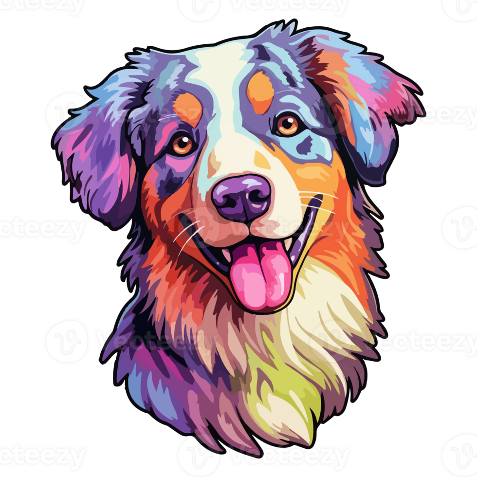 Colorful Australian Shepherd Dog, Australian Shepherd Portrait, Dog ...