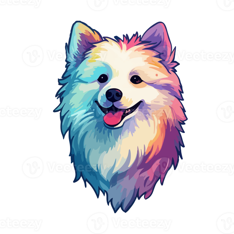 Colorful American Eskimo Dog Dog, American Eskimo Dog Portrait, Dog