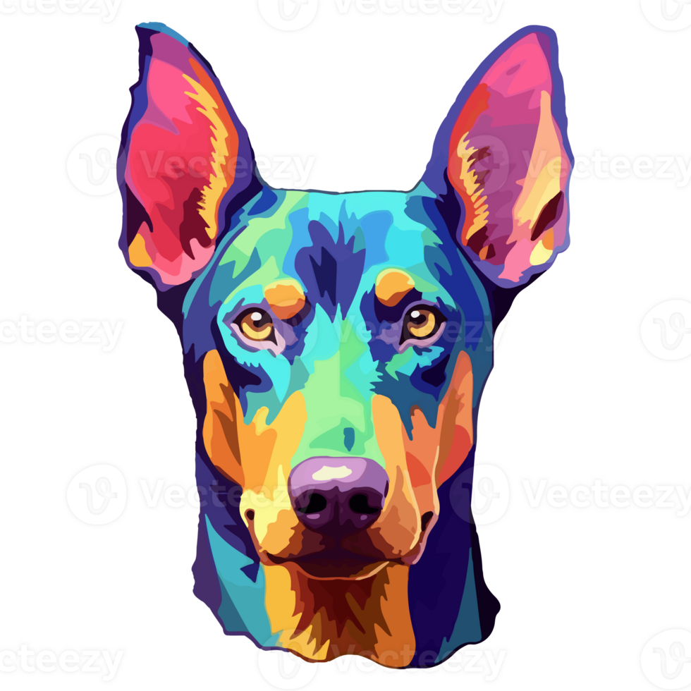 Colorful Doberman Dog, Doberman Portrait, Dog Sticker Clip art, Dog Lover design, . png