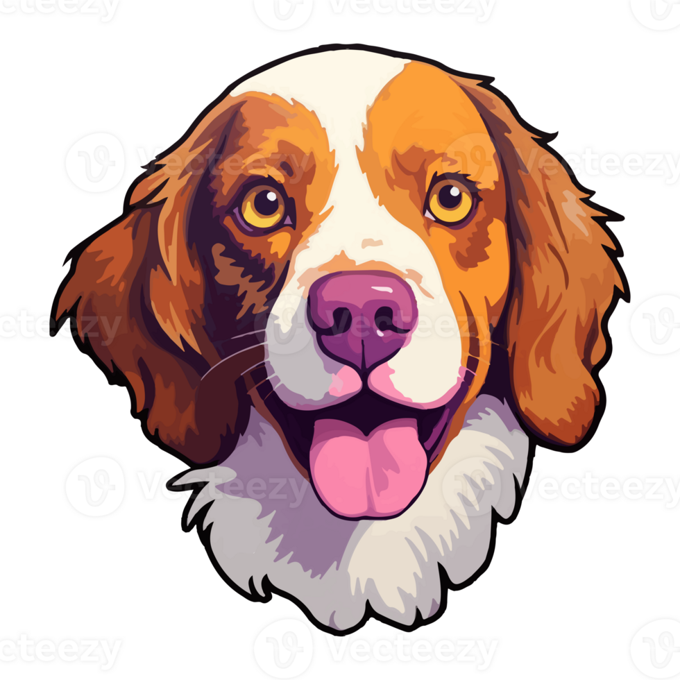 Colorful Brittany Spaniel Dog, Brittany Spaniel Portrait, Dog Sticker Clip art, Dog Lover design, . png