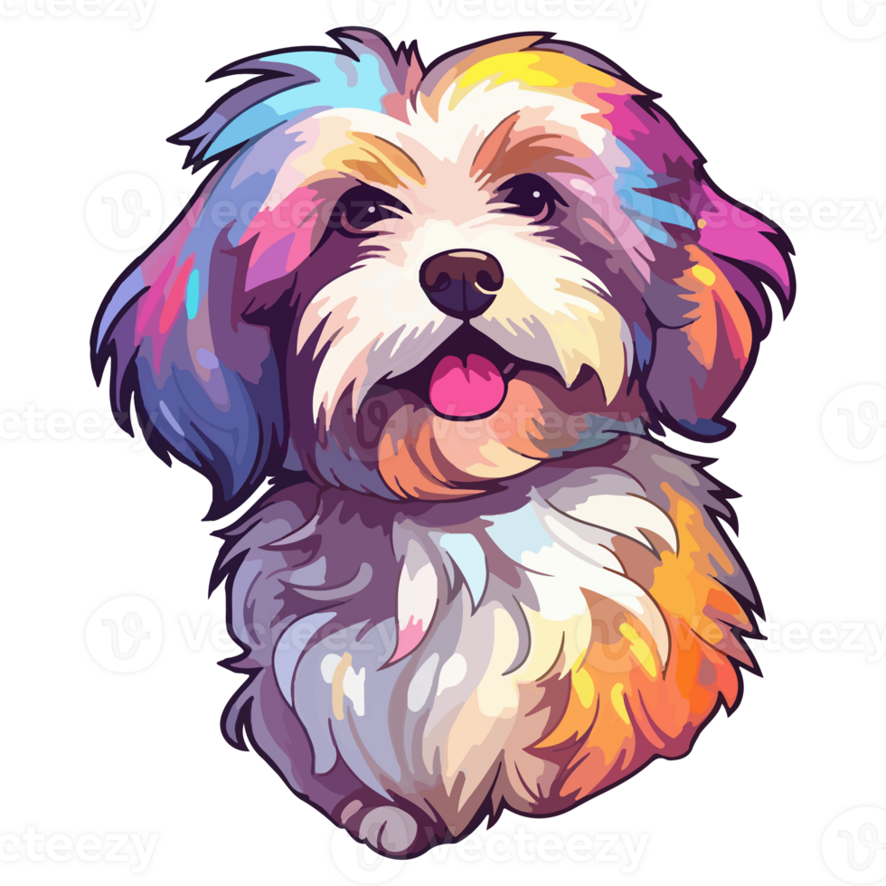 Colorful Havanese Dog, Havanese Portrait, Dog Sticker Clip art, Dog Lover design, . png