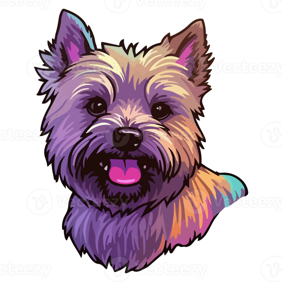 Colorful Cairn terrier Dog, Cairn terrier Portrait, Dog Sticker Clip art, Dog Lover design, . png