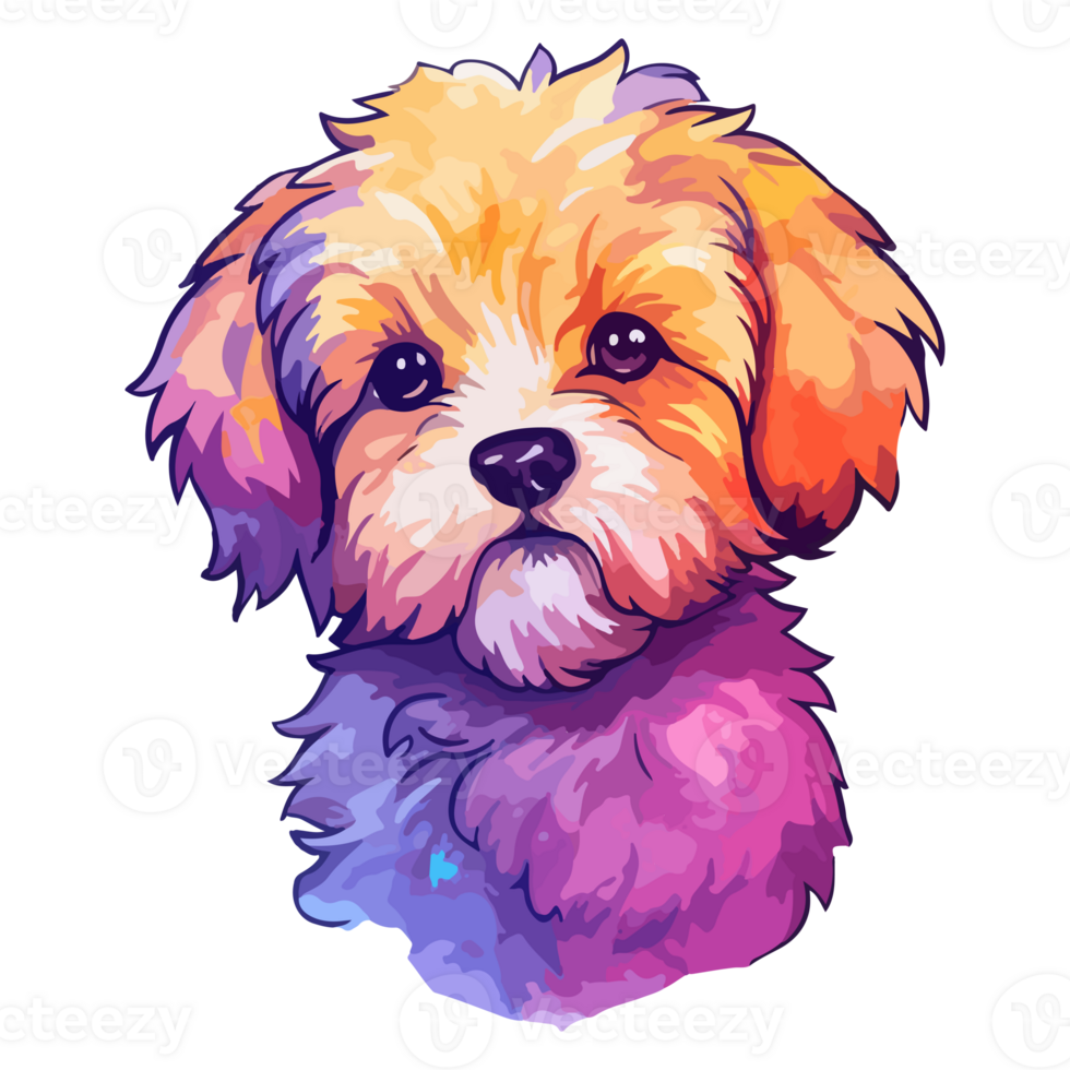 Colorful Maltipoo Dog, Maltipoo Portrait, Dog Sticker Clip art, Dog Lover design, . png