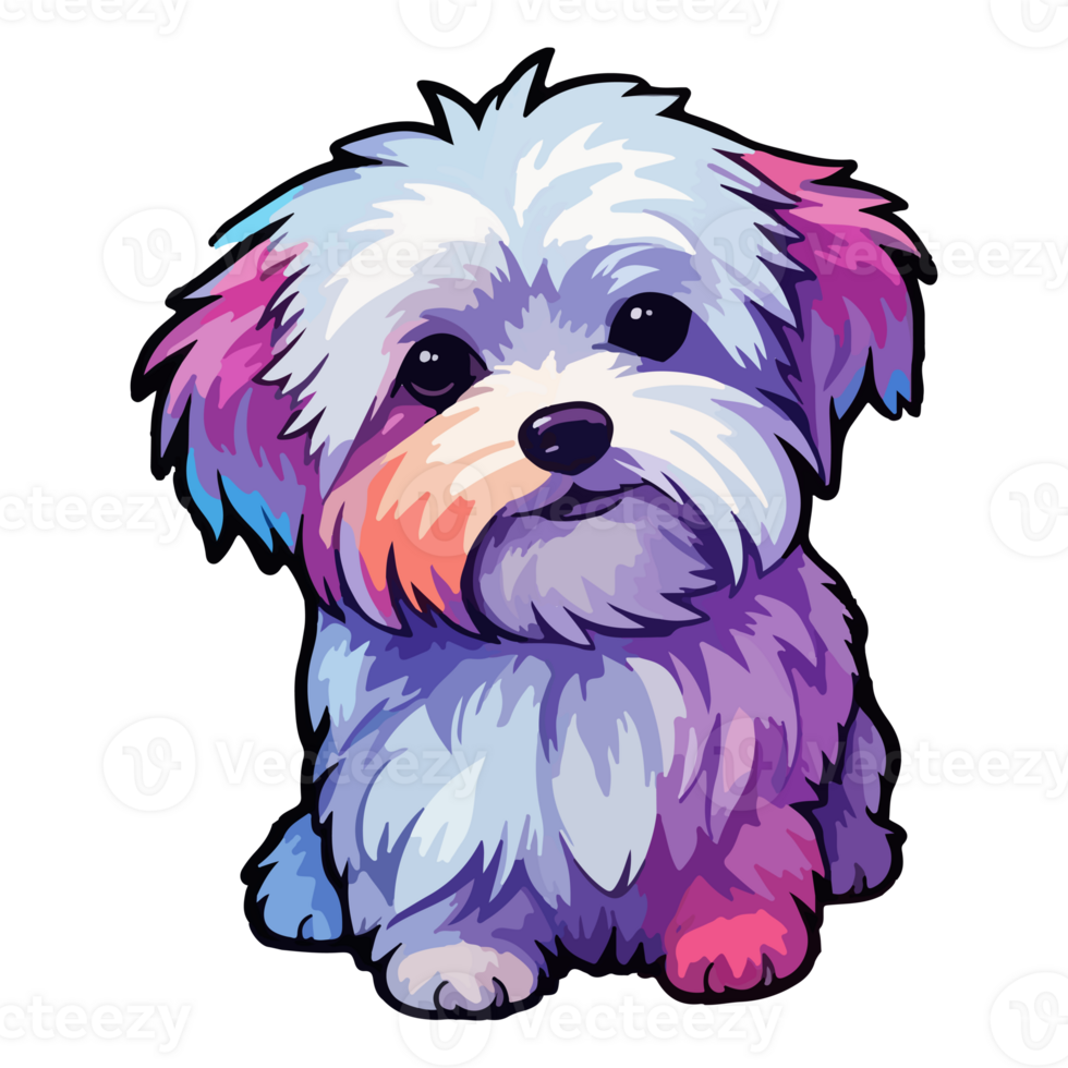 Colorful Maltese Dog, Maltese Portrait, Dog Sticker Clip art, Dog Lover design, . png