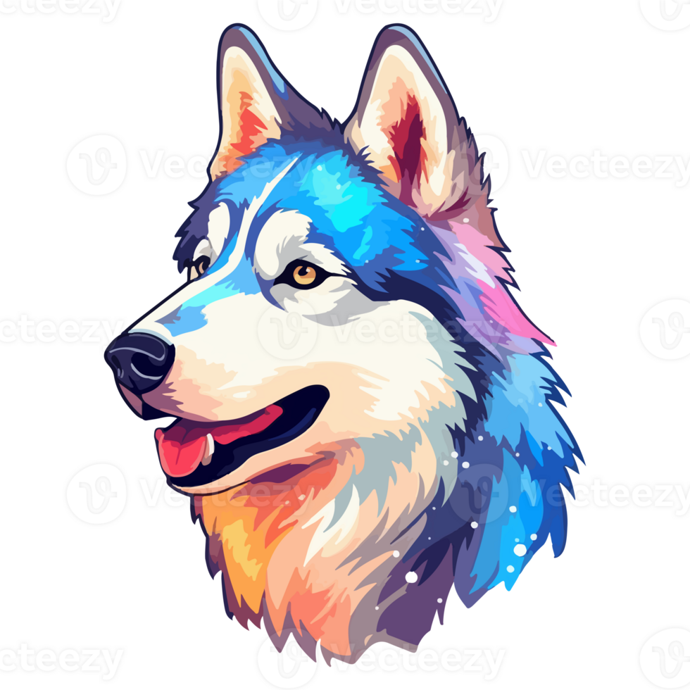 Colorful Siberian Husky Dog, Siberian Husky Portrait, Dog Sticker Clip art, Dog Lover design, . png