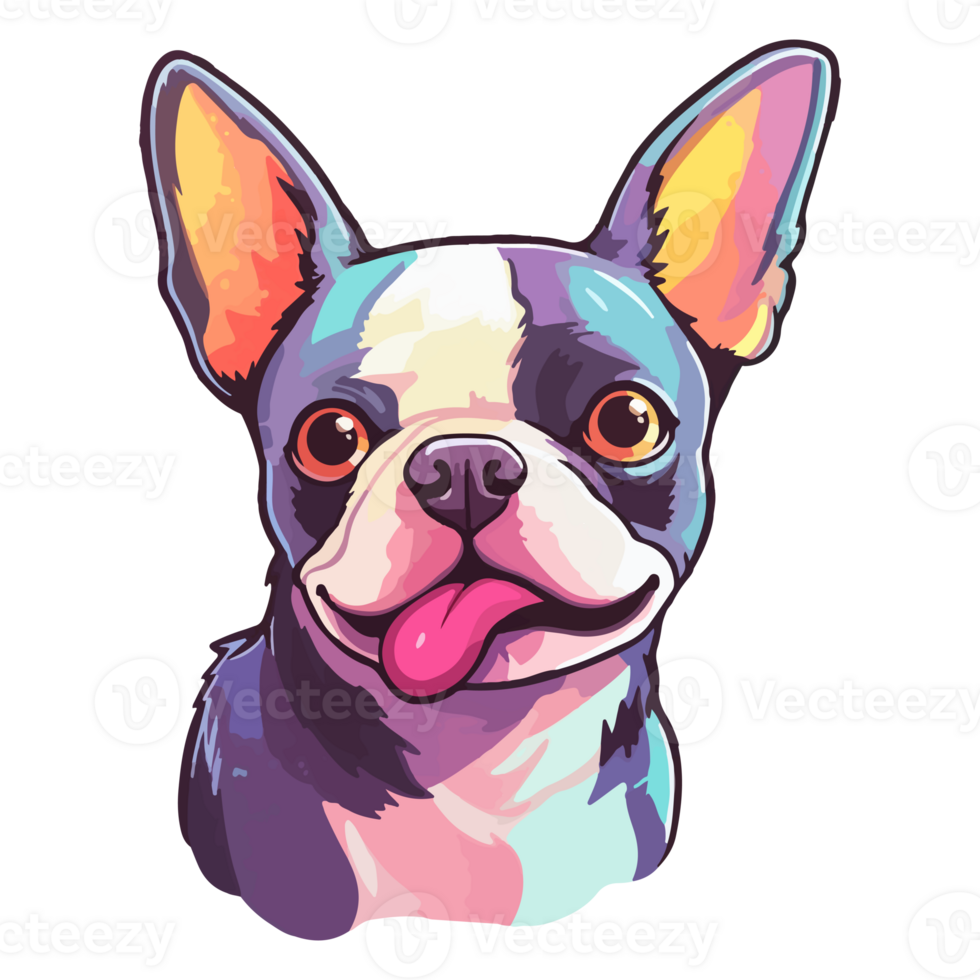 Colorful Boston Terrier Dog, Boston Terrier Portrait, Dog Sticker Clip art, Dog Lover design, . png