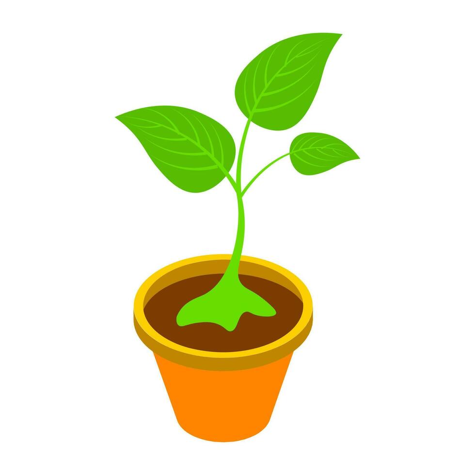 3D isometric of plant pot icon. vector