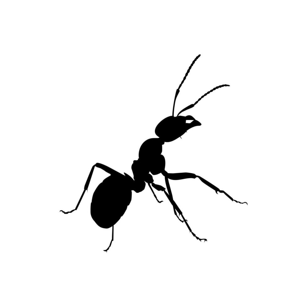 hormiga silueta para Arte ilustración, logo, pictograma, sitio web, o gráfico diseño elemento. vector ilustración