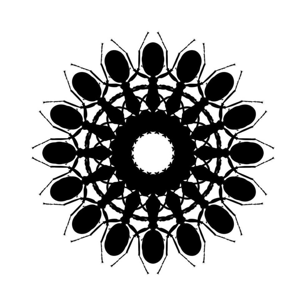 Colony of the Ant Silhouette Circle Shape Composition for Art Illustration, Logo, Pictogram, Website, or Graphic Design Element. Vector Illustration