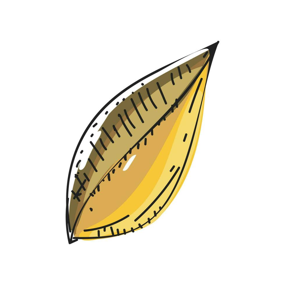 Vector illustration of leaf doodle.