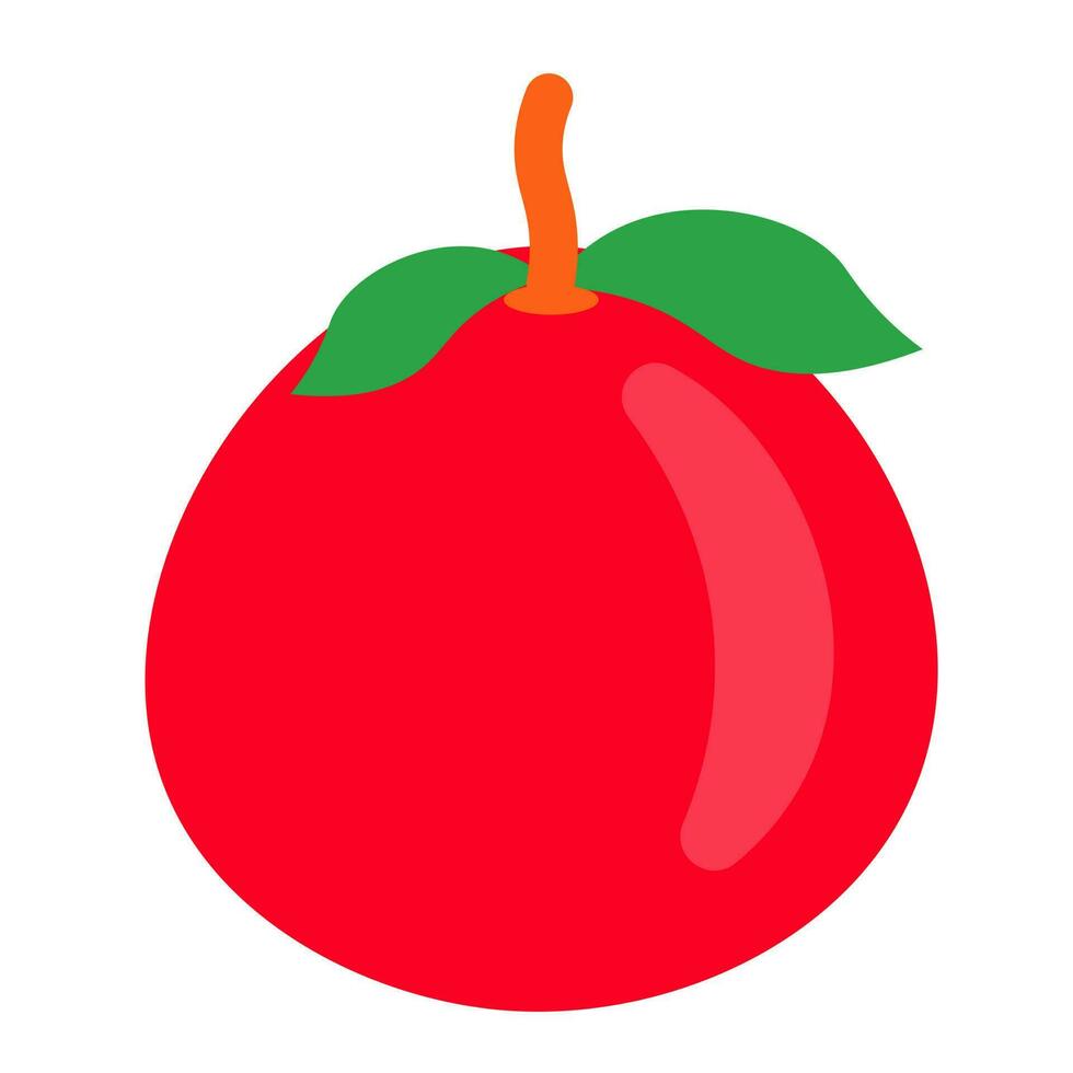 isométrica elemento de tomate en plano estilo. vector