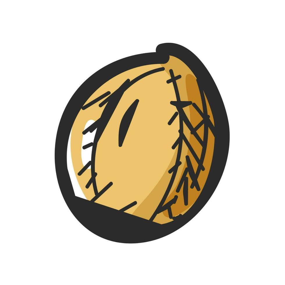 Isolated hazelnut in flat style. vector