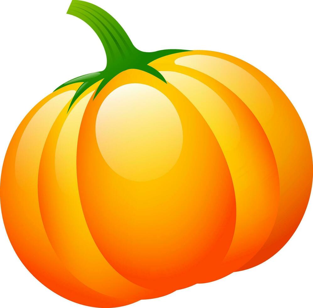 realista ilustración de calabaza. vector