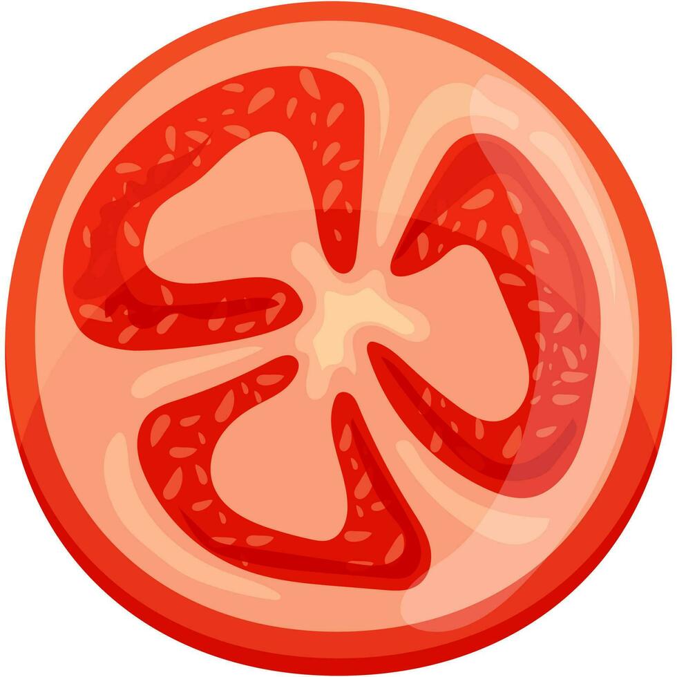 aislado rojo tomate rebanada. vector