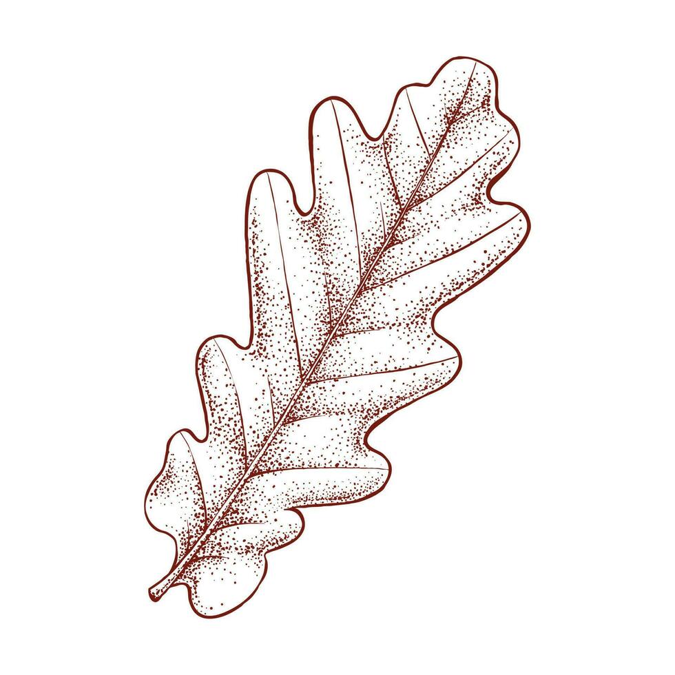 Acorn Leaves Hand Drawn Illustration vector