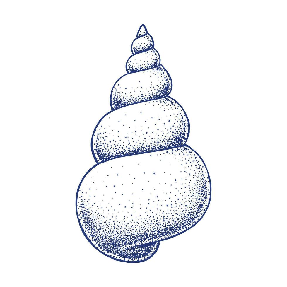 Snail or Shell Hand drawn illustration vector