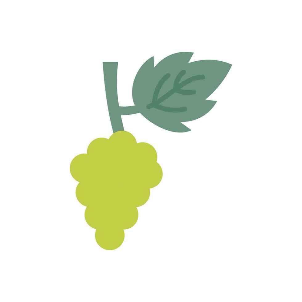 Grapes icon in vector. Illustration vector