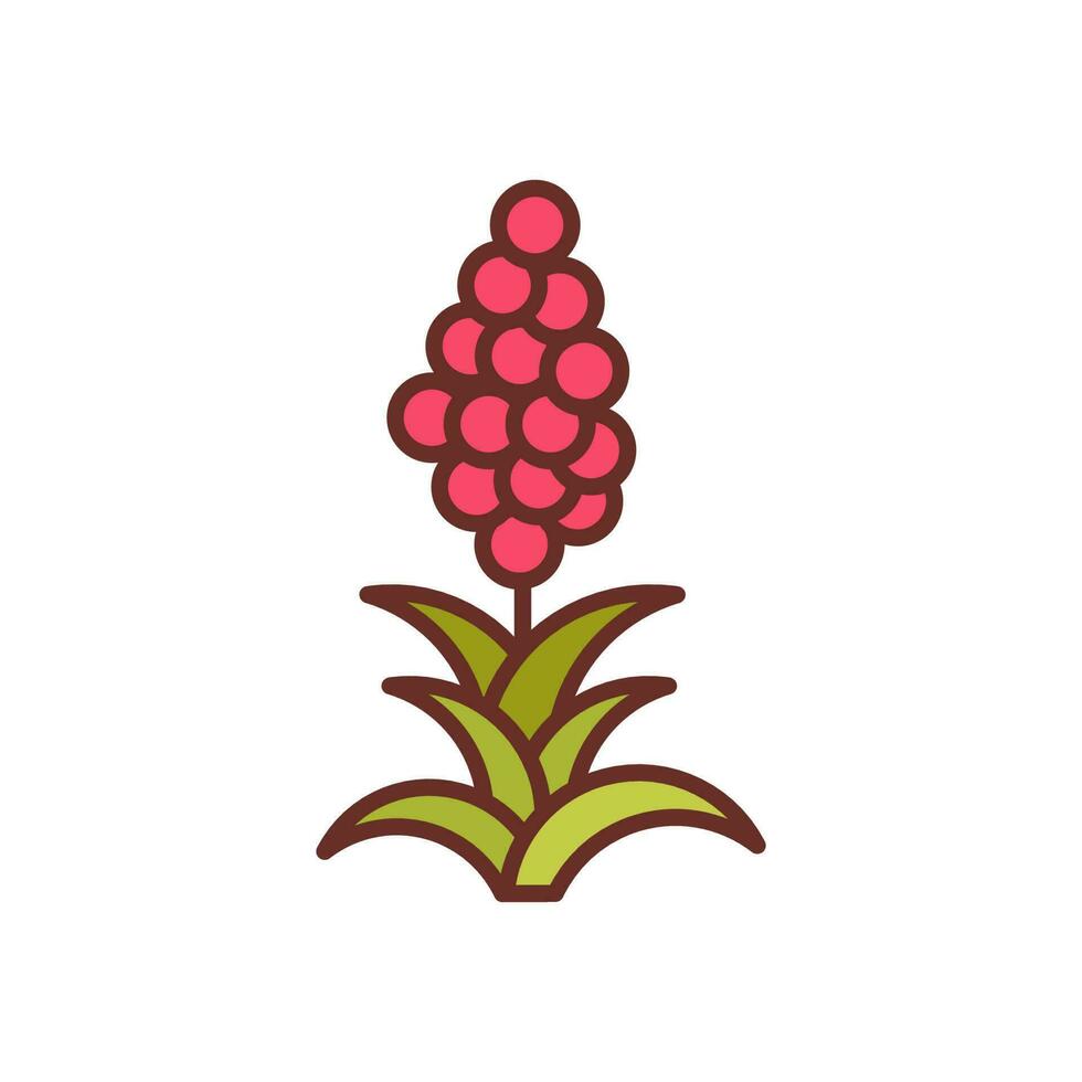Quinoa icon in vector. Illustration vector