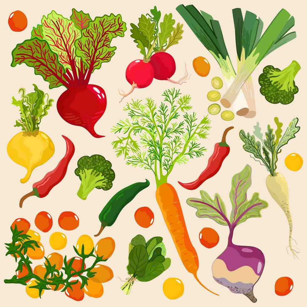 verano vegetales. vector colección aislado en ligero antecedentes.