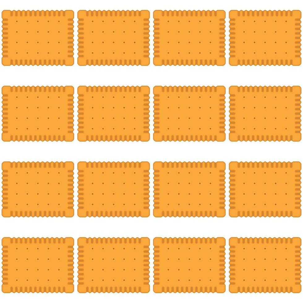 Pattern homemade cookie different taste in pastry biscuit vector