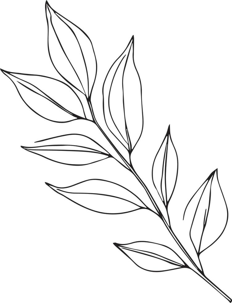 Botanical artwork decor, vector set of botanical leaf simple outline sketch doodle hand drawn illustration, botanical drawings of flowers, botanical drawings of wildflowers, botanical drawings.