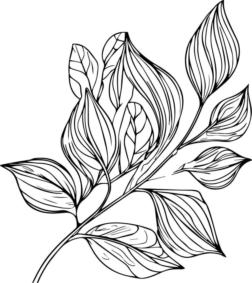 hand drawn botanical spring elements line art, botanical illustration botanical line drawing, vector sketch artistic simplicity botanical doodle art, Easy botanical drawing,  botanical illustration