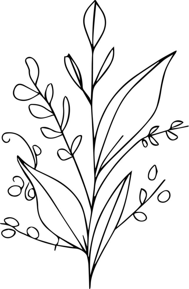 Wild flowers drawings, Wild flowers Set on the doodle art, coloring page vector sketch hand-drawn illustrations, and beautiful botanical element, Delicate Flowers Print. artistic flowers set.