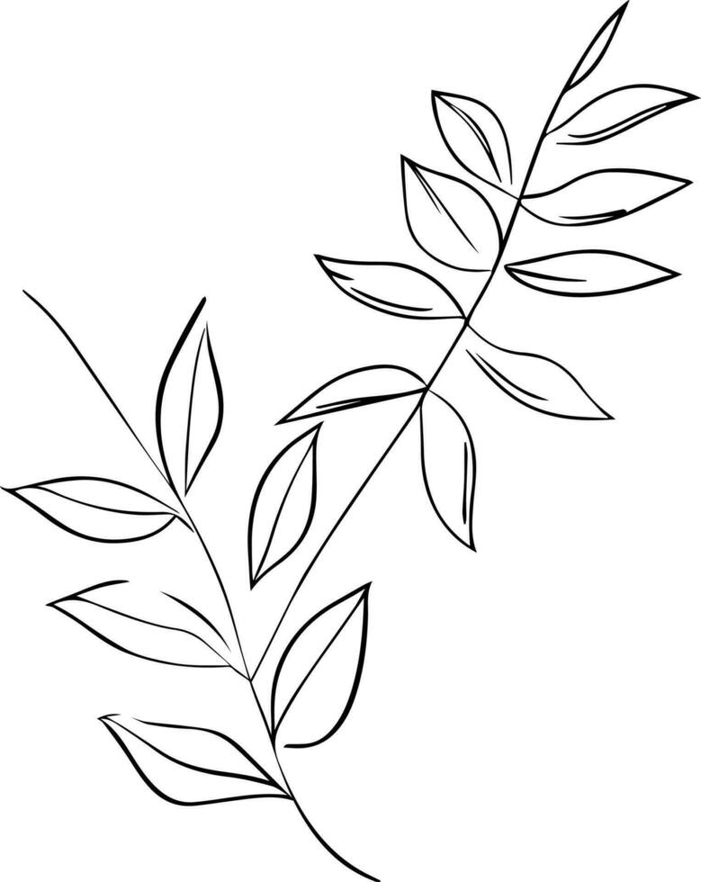 Botanical vector illustration coloring page, simplicity, Embellishment, monochrome, vector art, Outline print with botanica leaf of branch, botanical leaves, and buds, minimalis botanical tattoo.