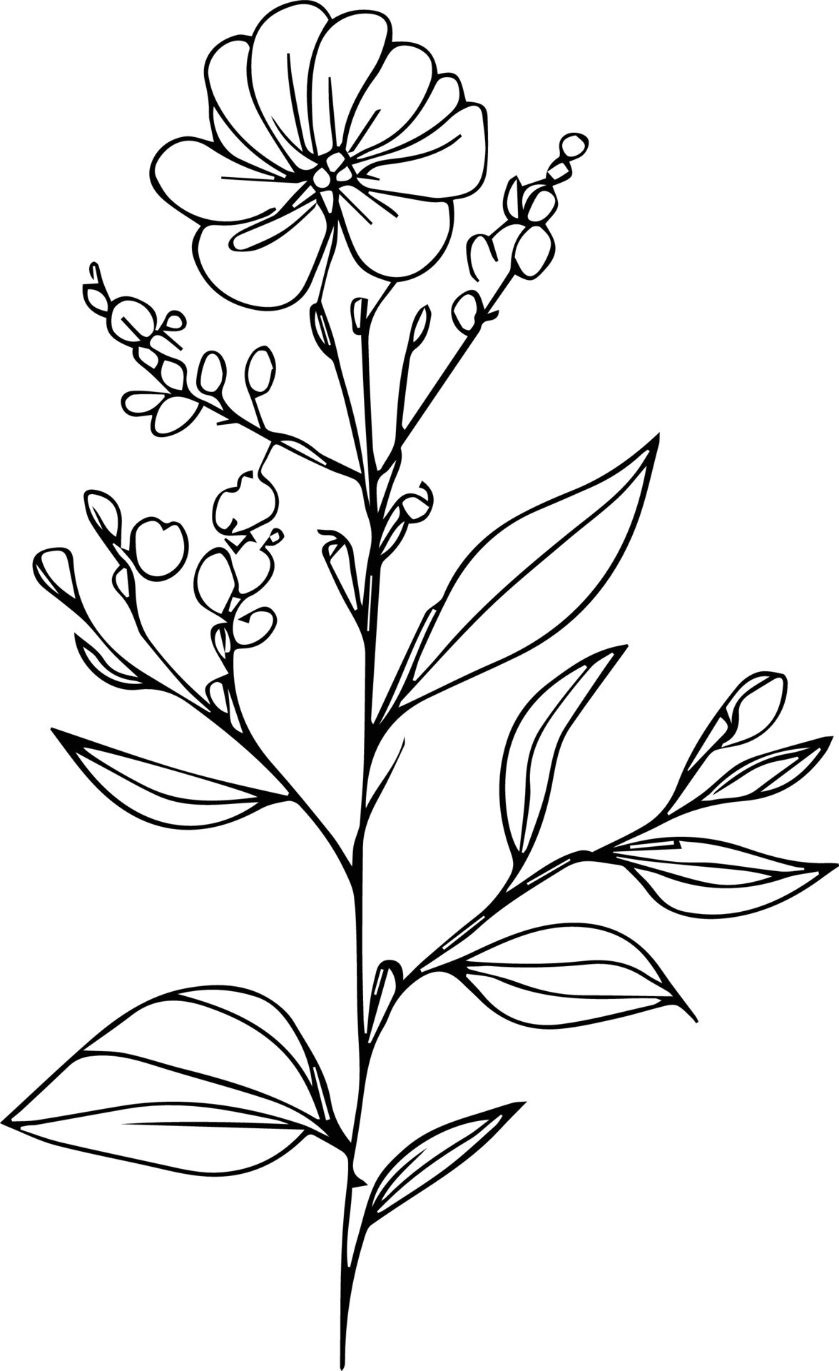 Easy botanical doodles. aesthetic flower doodles, botanical drawings