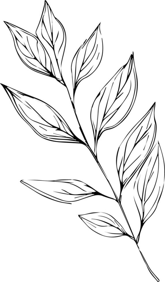 Beautiful monochrome black and white botanical elements are isolated on white. Hand-drawn leaf set and, botanical vector art. minimalist leaf drawing, simple botanical outline. wildflower sketch art