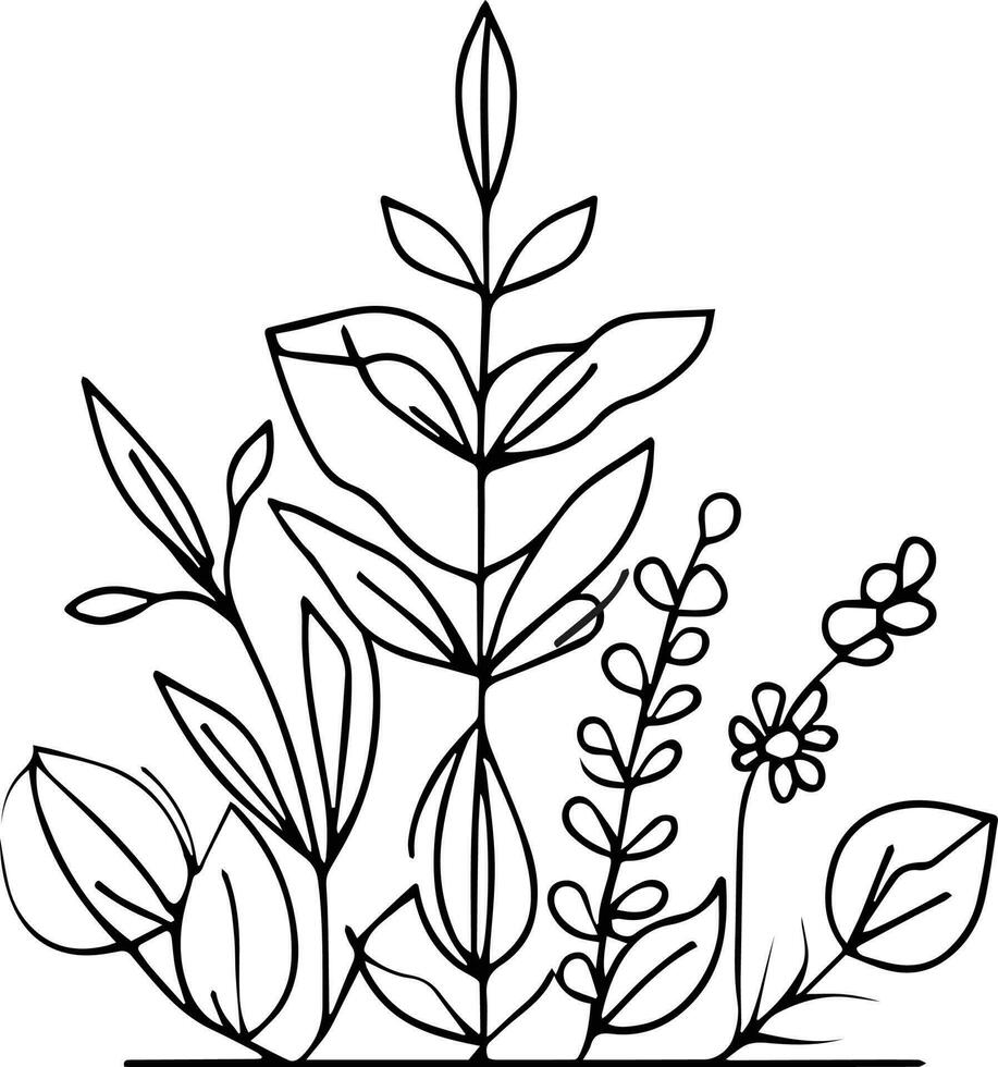 Botanical artwork decor, vector set of botanical leaf simple outline sketch doodle hand drawn illustration, botanical drawings of flowers, botanical drawings of wildflowers, botanical drawings.