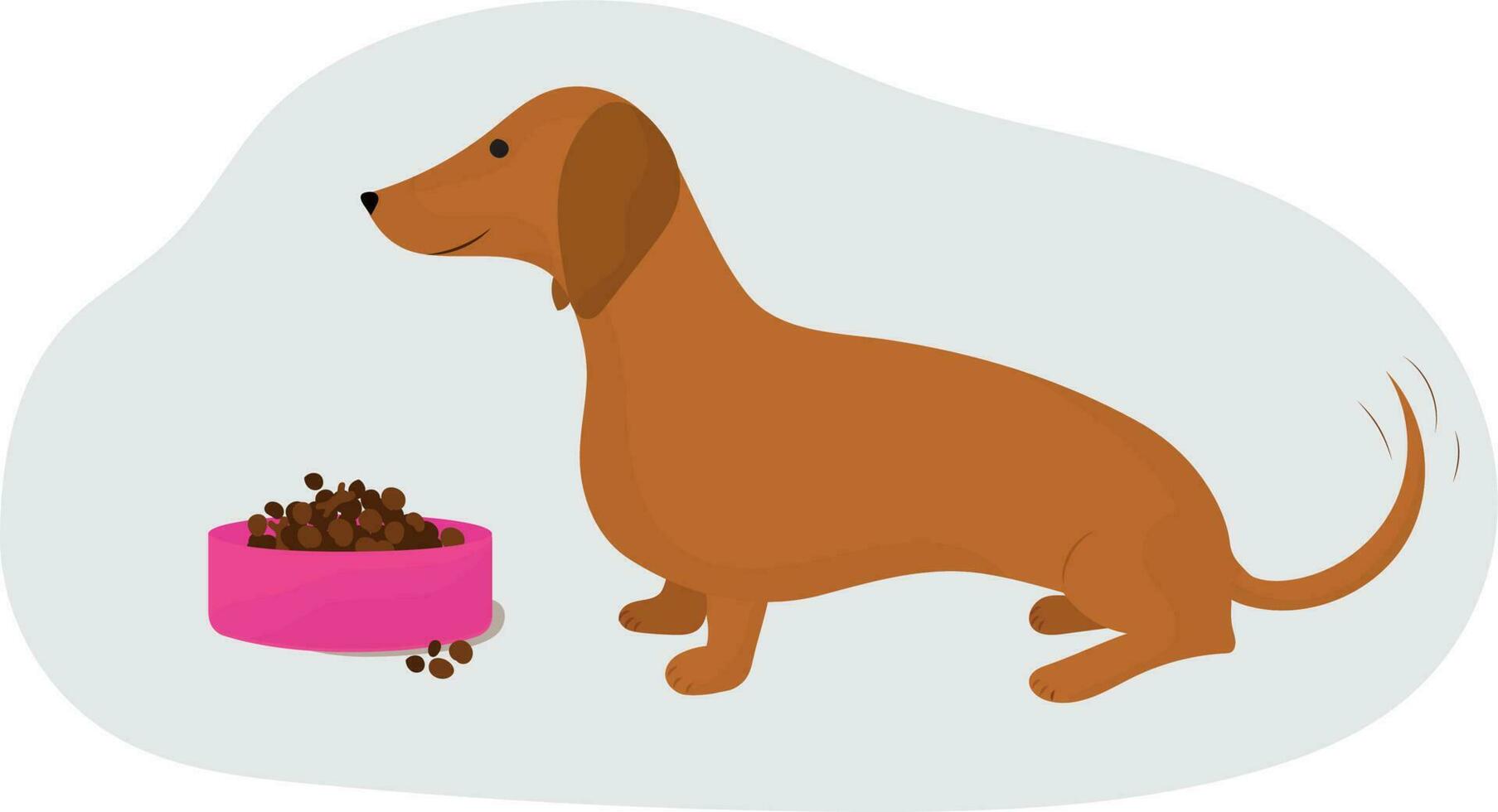 perro. mascota alimentación. perro tejonero. alto calidad vector ilustración.