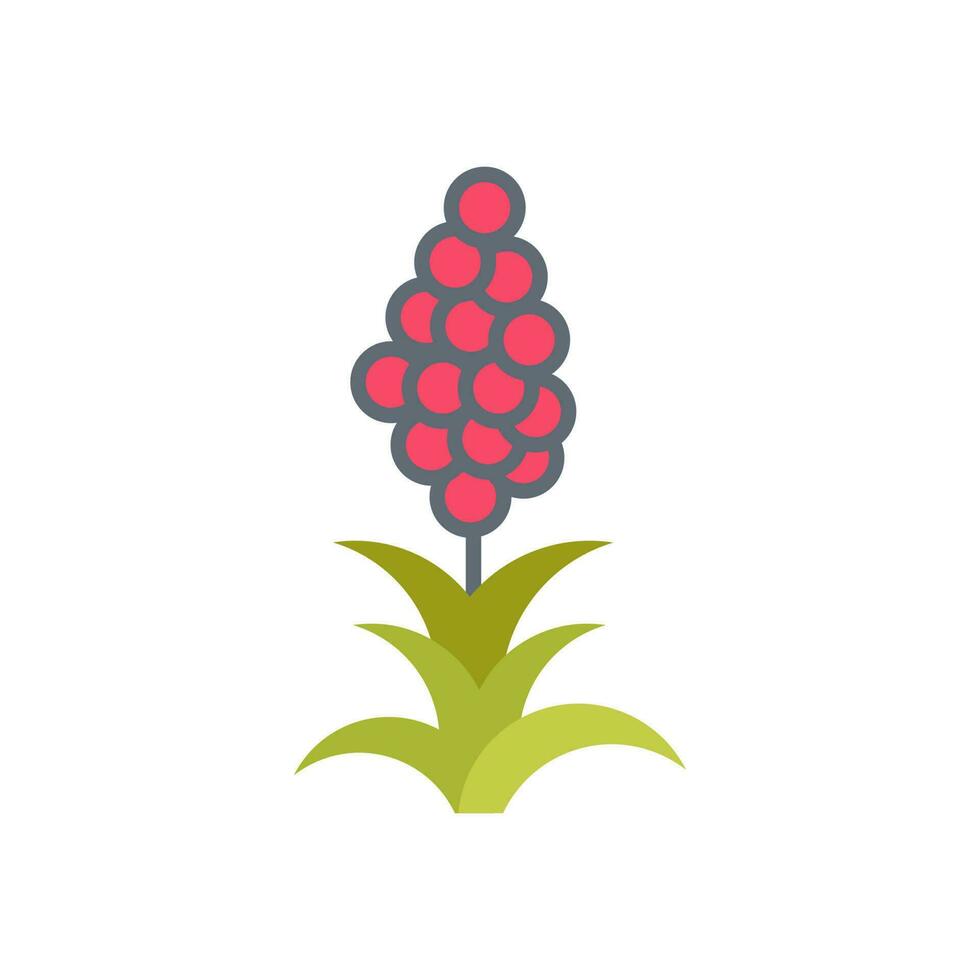 Quinoa icon in vector. Illustration vector