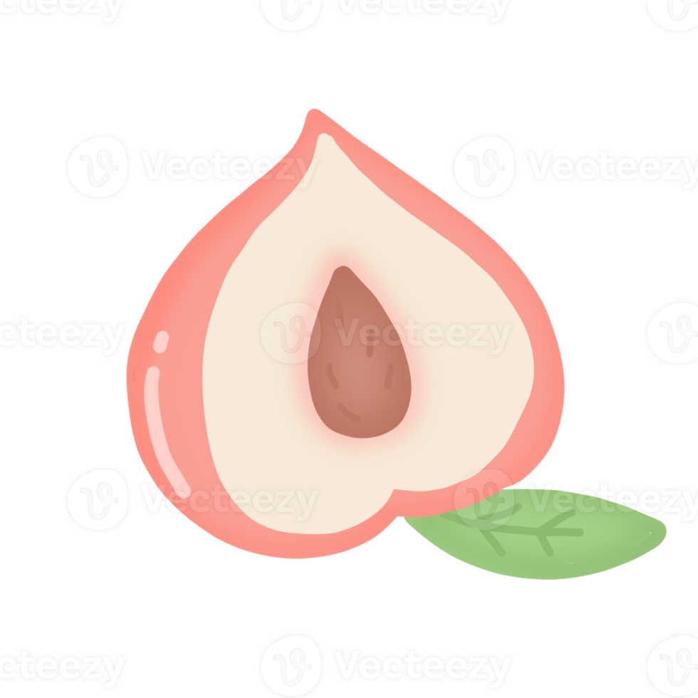 durazno, fruta, alimento, rosa, beneficios, nutrientes, icono, logo png