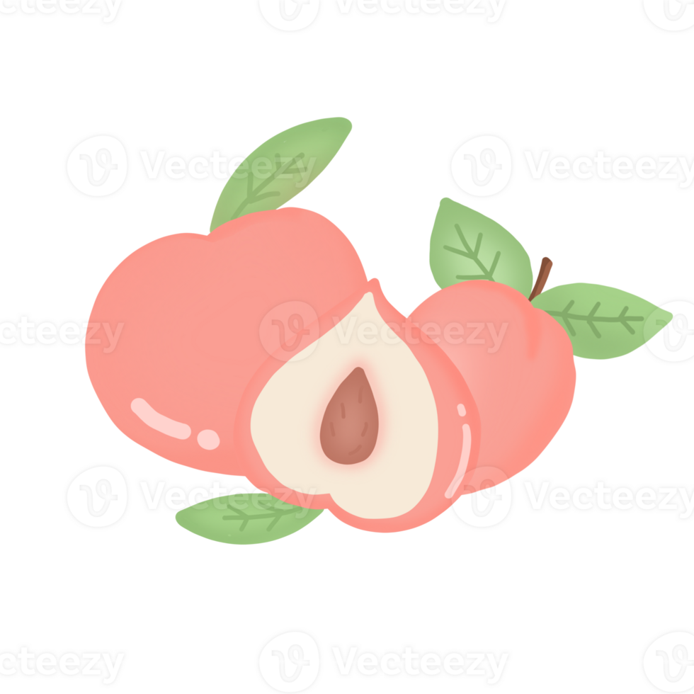 durazno, fruta, alimento, rosa, beneficios, nutrientes, icono, logo png