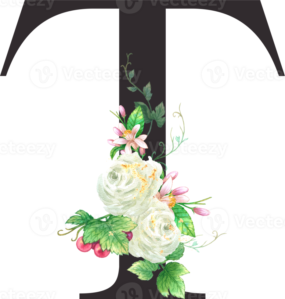 Alphabet and numbers Grape fruit watercolor, Wedding flower letter png