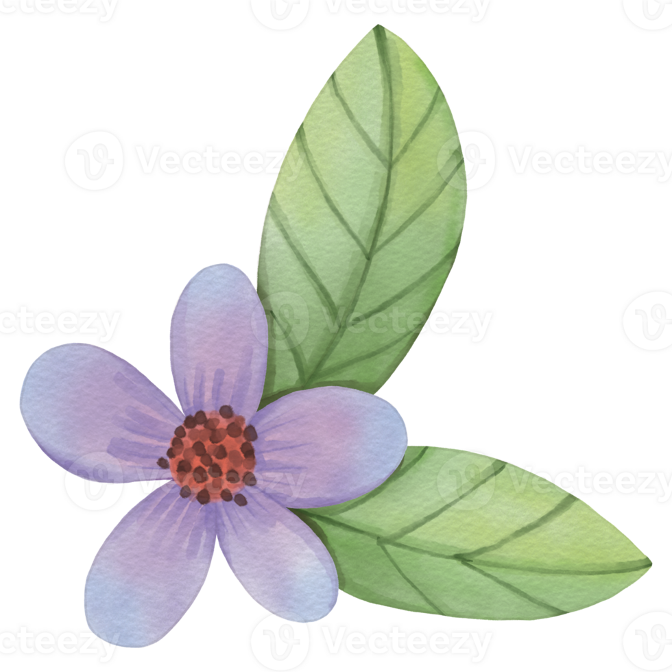 flower watercolor clipart 24247941 PNG