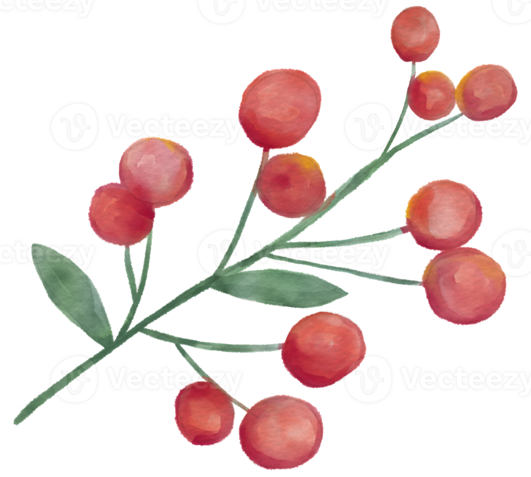 flower watercolor clipart png