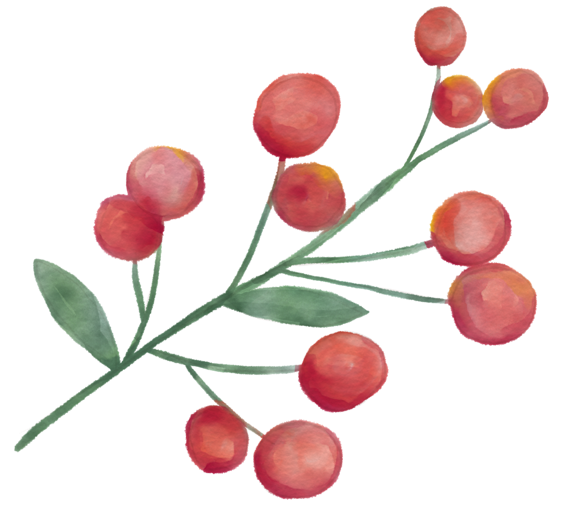 flower watercolor clipart 24248112 PNG