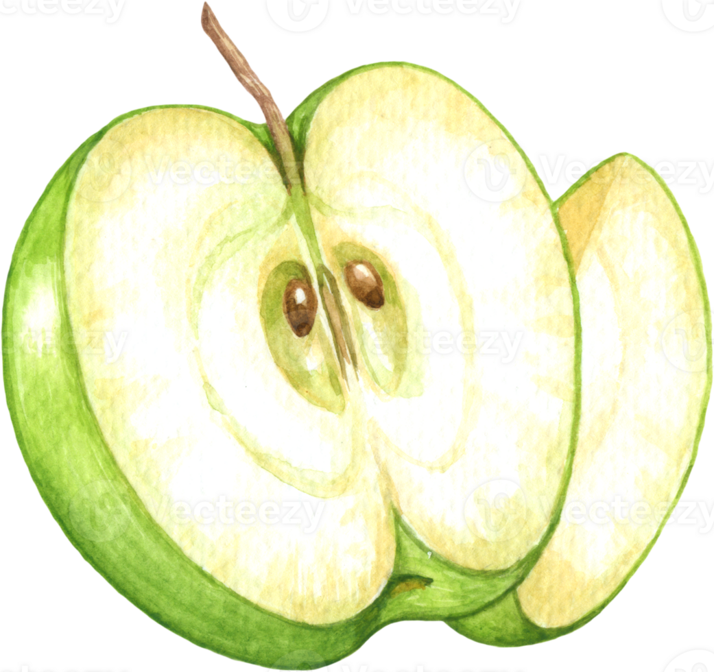 verde maçã fruta aguarela elemento png