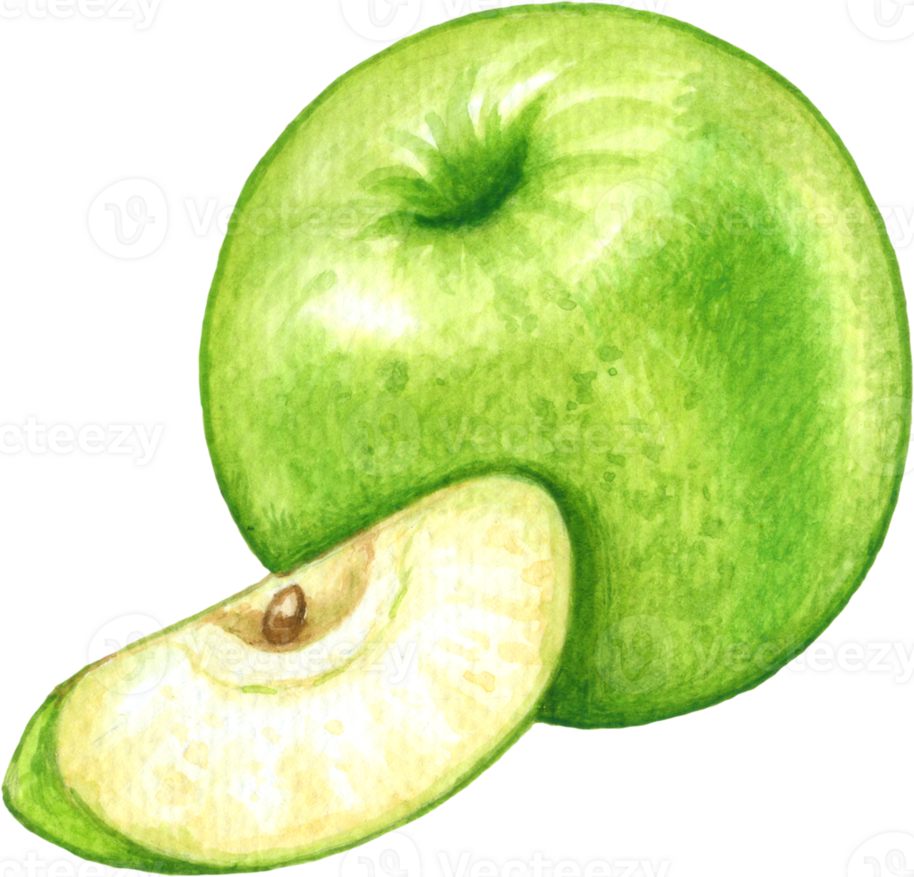 vert Pomme fruit aquarelle élément png