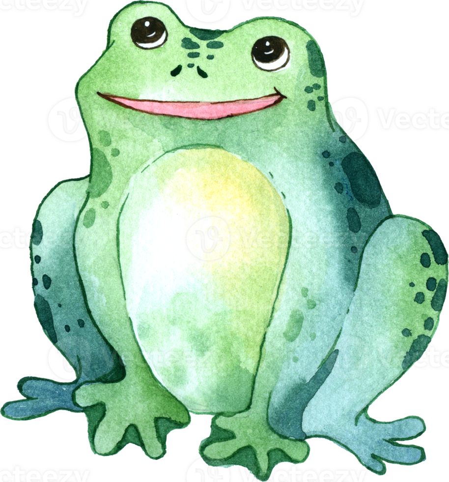 Forest Animal Cartoon Character Watercolor 24248212 PNG forest-animal-cartoon-character-watercolor-24248212-png