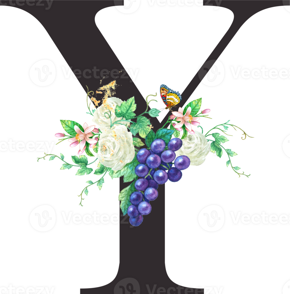 Alphabet and numbers Grape fruit watercolor, Wedding flower letter png