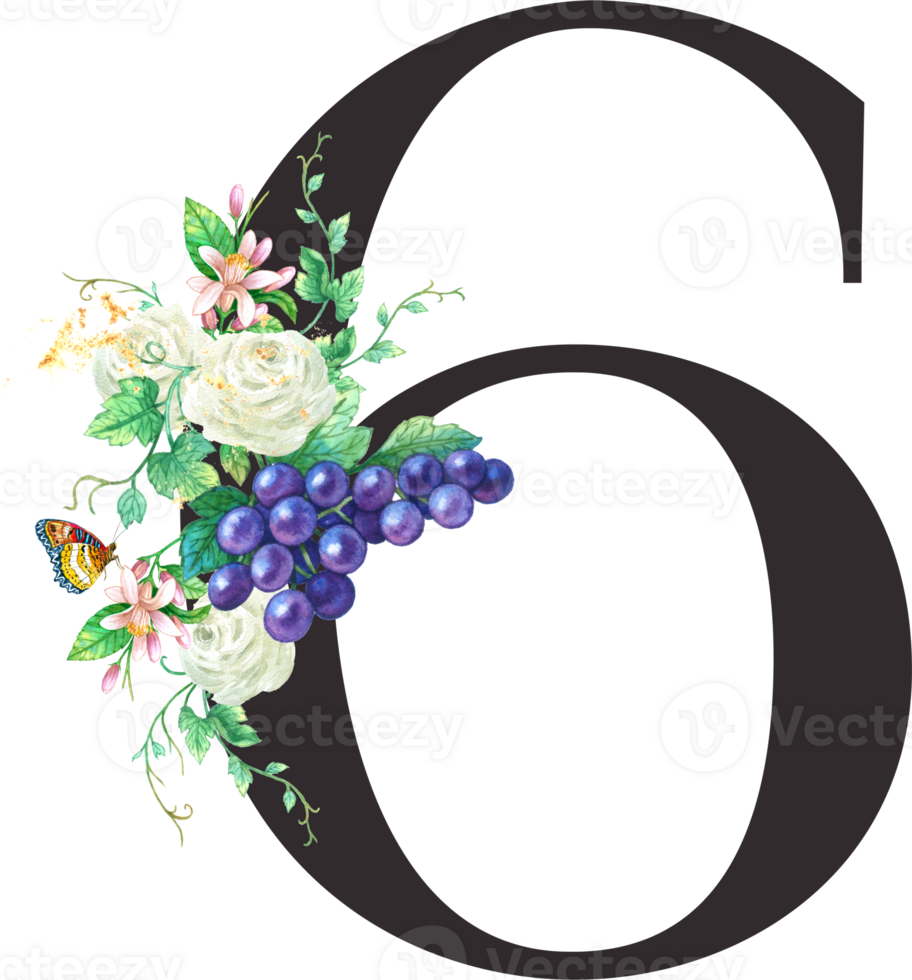 Alphabet and numbers Grape fruit watercolor, Wedding flower letter png
