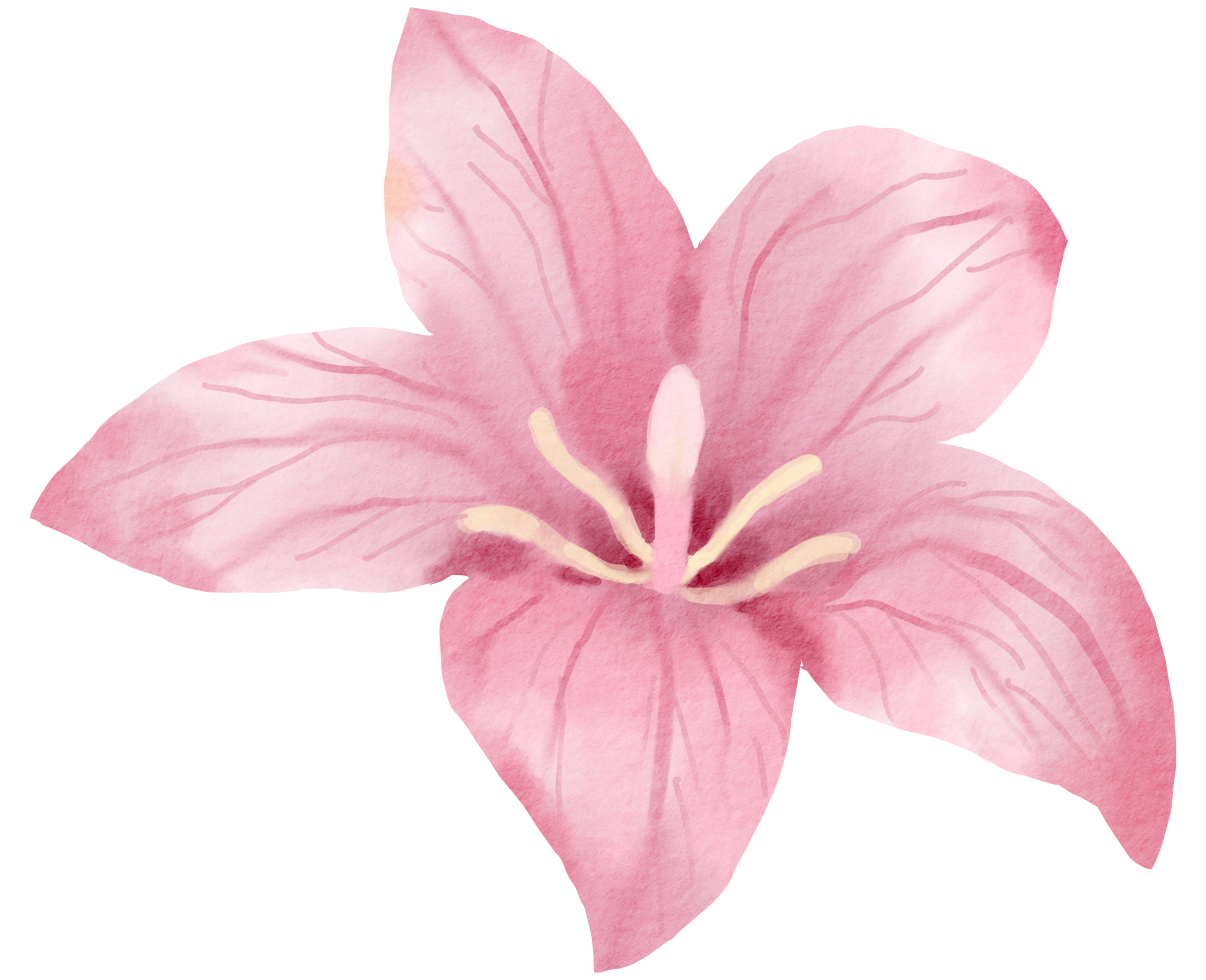 flower watercolor clipart 24248253 PNG