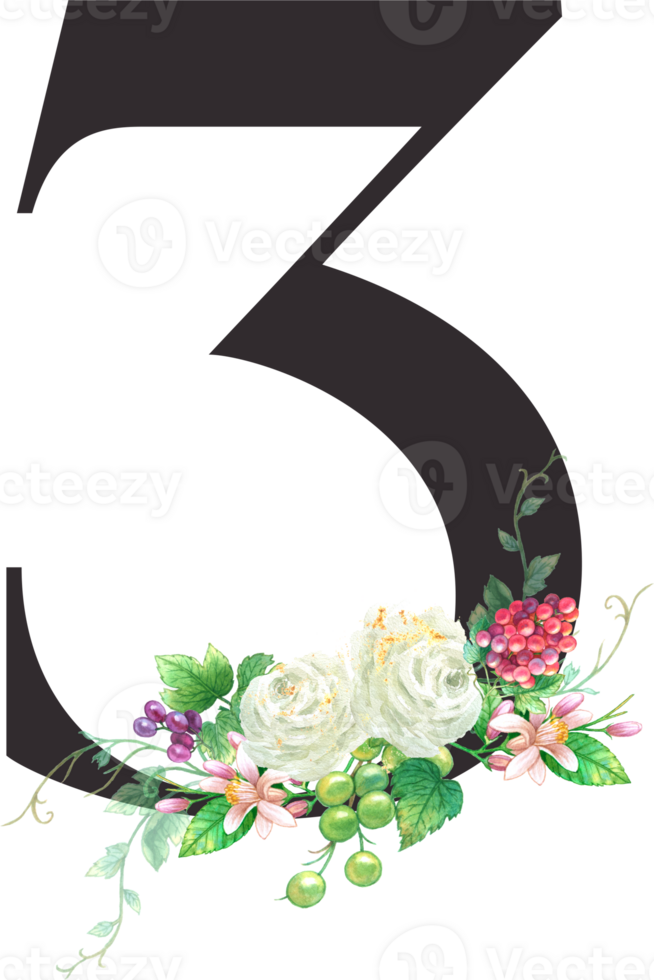 Alphabet and numbers Grape fruit watercolor, Wedding flower letter png