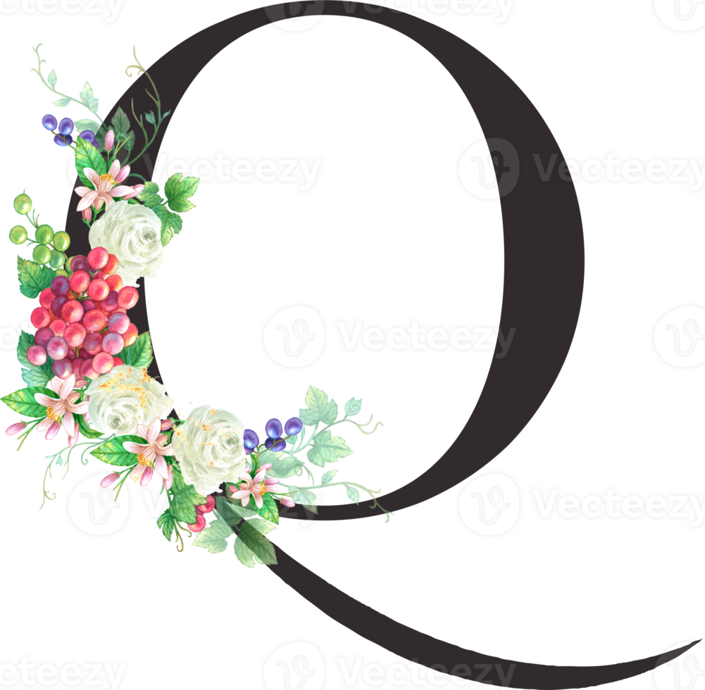 Alphabet and numbers Grape fruit watercolor, Wedding flower letter png