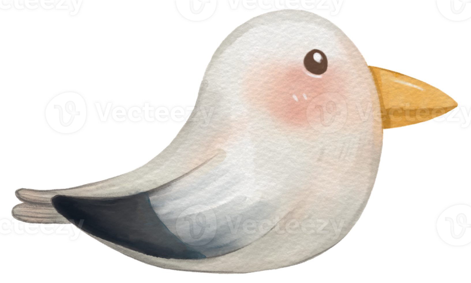 Nautical component watercolor element png